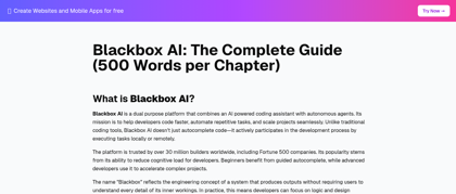 Blackbox AI