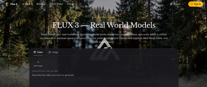 Flux 3