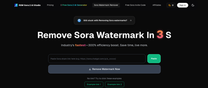 RSW Sora 2 AI Studio
