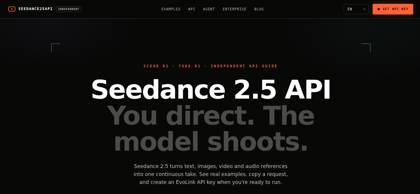 Seedance 2.5 API