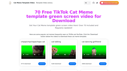Top 70 TikTok Cat Meme Template video for Download